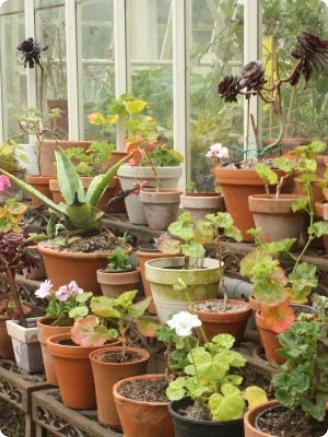 Open Gardens