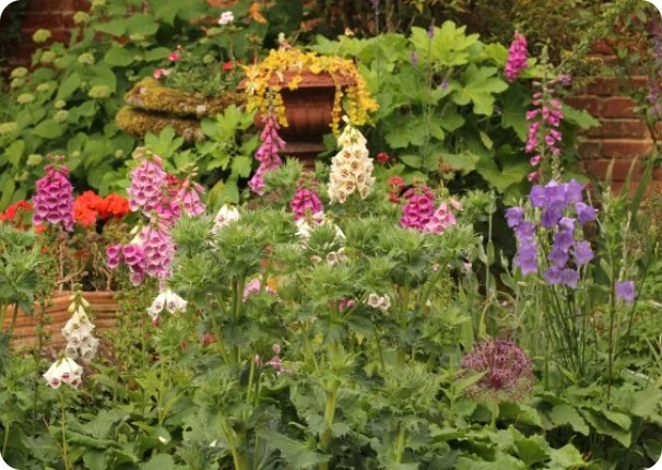 Open Gardens