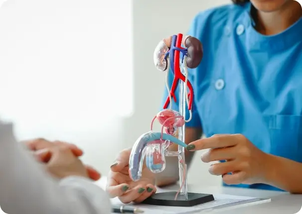 Urological Cancers